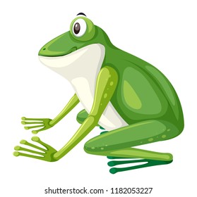 Side view of green frog illustration