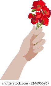 Side view hand holding a bunch of poppy flowers, isolated on white background