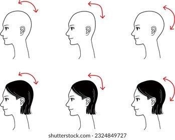 Side view of head. ３types.