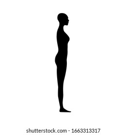 Vista lateral silueta corporal humana de una mujer adulta.