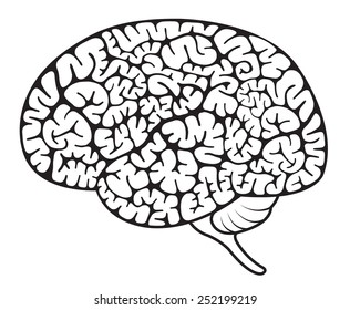 Side view of a human brain