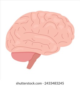 Side view of human brain. Simple flat vector illustration isolated on white background.
