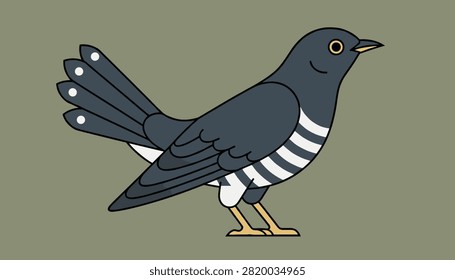 Side view illustration of a grey cuckoo bird with a striped belly standing against a solid olive green background.