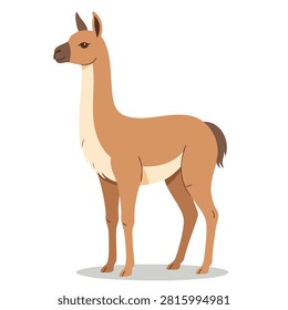 A side view illustration of a guanaco, a wild South American camelid, standing on a neutral base, rendered in a clean flat vector style.