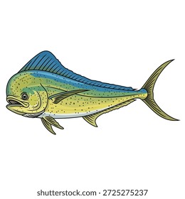 Side view of mahi mahi dorado fish vector illustration