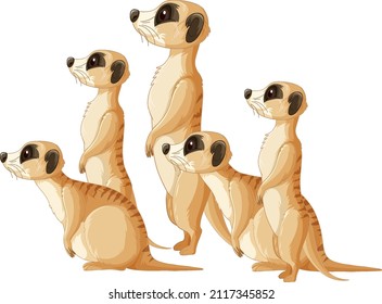 Side view meerkats group in cartoon style illustration