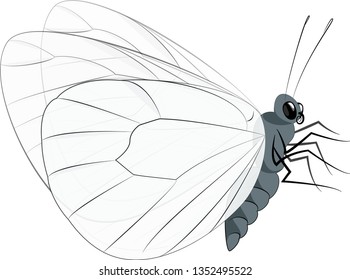 A side view of monochrome butterfly fluttering in space.