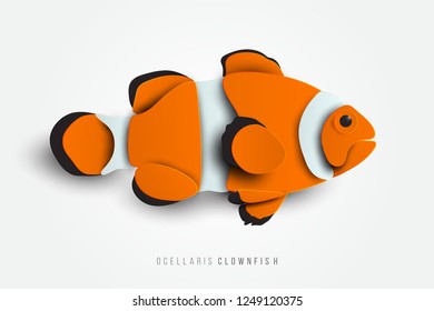 Side view of Ocellaris Clownfish in paper cut style. Exotic fish isolated on white background. Sea animals vector illustration