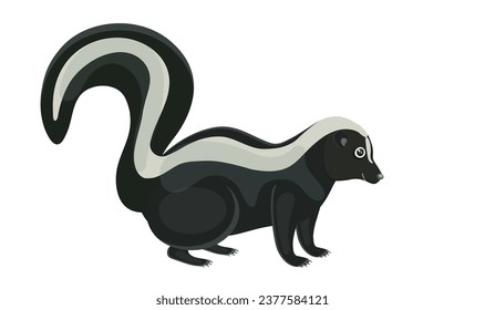 Side view on image of white and black skunk, cartoon design, smiling animal, huge tail, cute mammal, wild nature. Concept of striped beast, baby logo. Isolated on white background. Vector illustration