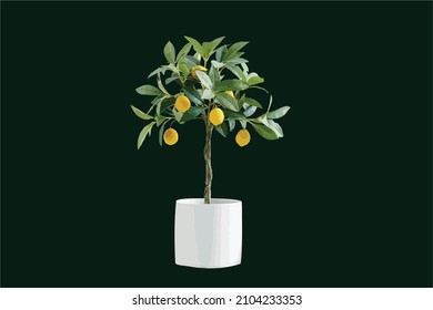 Side view of the orange tree. in a white pot Dark green background. Landscape vector illustration. Nature concept.