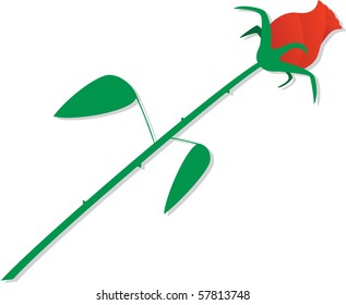 Side view of a perfect red rose