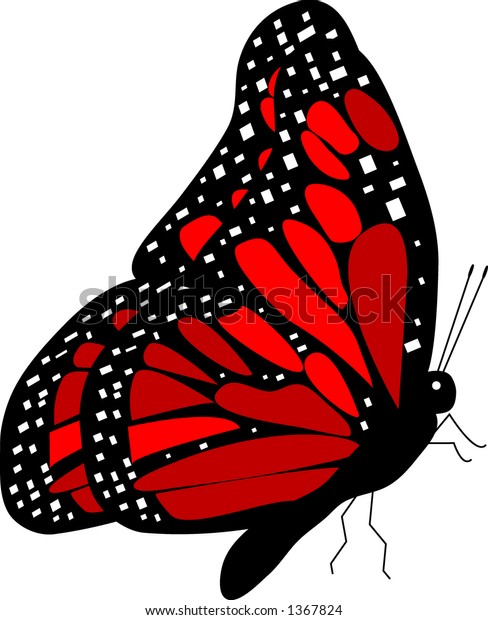 Side View Red Monarch Butterfly Vector Stock Vector ...