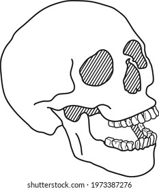 Side view Skull Illustration, line art