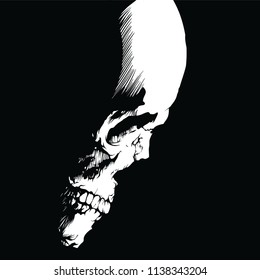 Side view of a skull on a black background
