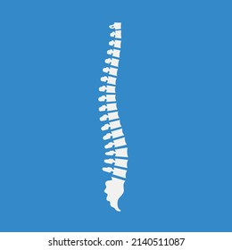 Side view of the spine on blue background