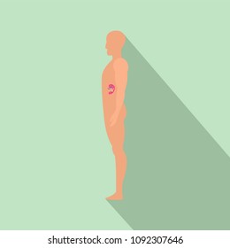 Side view spleen human body icon. Flat illustration of side view spleen human body vector icon for web design