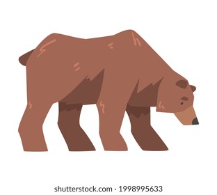 Side View of Standing Brown Bear, Large Wild Predator Mammal Animal Cartoon Vector Illustration