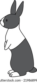 Side view of a standing Dutch rabbit.