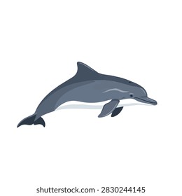 Side View Vector Illustration of a Common Bottlenose Dolphin Swimming Isolated on White Background