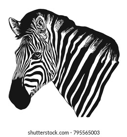 Side view vector illustration of zebra