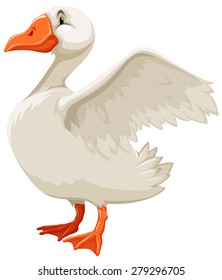 Side view of a white goose on white background