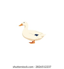 Side view of a white Pekin duck flat vector illustration icon isolated on a plain white background