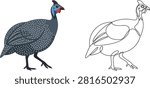 A side-by-side comparison of a colorful illustrated guinea fowl and its minimalist single-line drawing version on a white background.