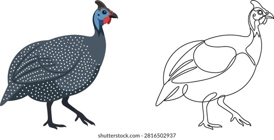 A side-by-side comparison of a colorful illustrated guinea fowl and its minimalist single-line drawing version on a white background.