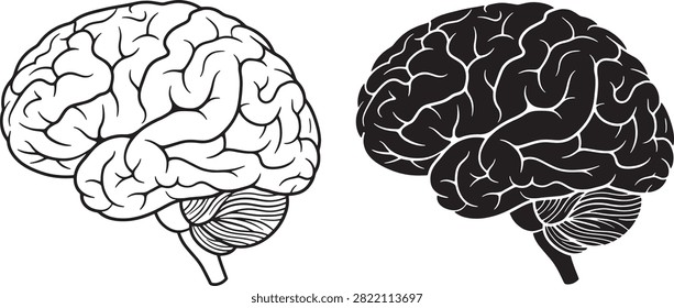A side-by-side comparison of two human brain illustrations, one featuring a clean white outline style and the other a solid black silhouette, isolated on a plain white background.