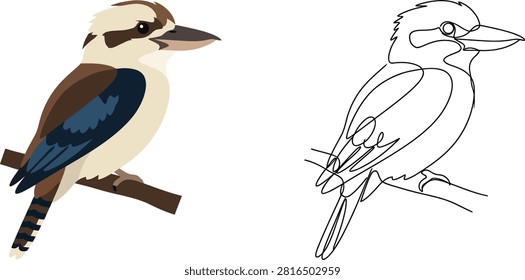 A side-by-side illustration of a kookaburra bird, featuring a colored version and a single continuous line drawing sketch.