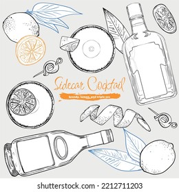 Sidecar cocktail hand drawn line art with triple sec and brandy bottle, lemons, lemon peel and lemon leaves. Vector illustration, outline separate from fill. Easy to edit, ready to use.