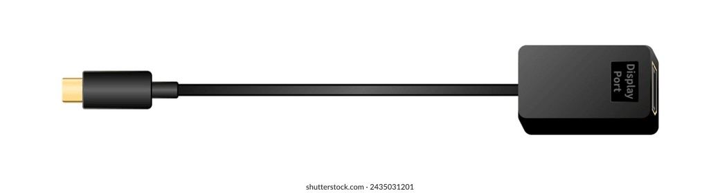 Side-facing conversion cable _usb type-C_ male_displayPort_An illustration of female.