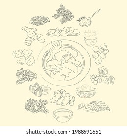 Sie Masak Puteh And Ingredients Illustration Sketch Style, Traditional Food From Aceh, Good to use for restaurant menu, Indonesian food recipe book, and food content.