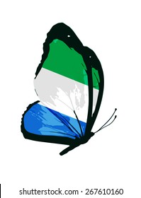 Sierra Leone flag butterfly - vector