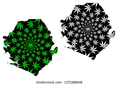 Sierra Leone - map is designed cannabis leaf green and black, Republic of Sierra Leone (Salone) map made of marijuana (marihuana,THC) foliage,