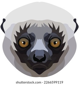 sifaka face. The muzzle of a cute Madagascar mammal is depicted. Bright portrait on a white background. predictive graphics. animal logo.