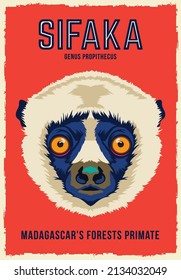 Sifaka Primate face vector illustration, perfect for poster and tshirt design