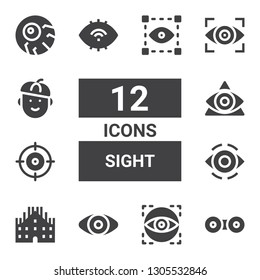 sight icon set. Collection of 12 filled sight icons included Contact lens, Visual, Eye, Milan, Shooter, Vision, French, Eyeball