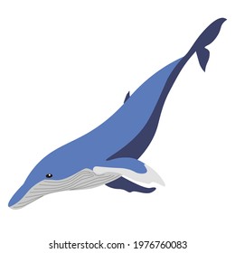 Sigle abstract blue whale simple flat vector clip art EPS10