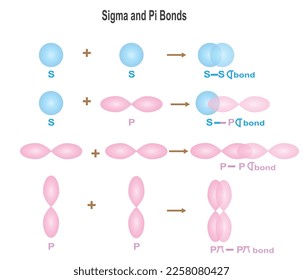 Sigma- und Pi-Bonds, Sigma-Bonds entstehen durch Kopf-Kopf-Überschneidungen und Pi-Bonds durch seitliche Überschneidungen zweier atomarer Orbitale, Vektorgrafik.