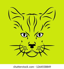 sign black cat 