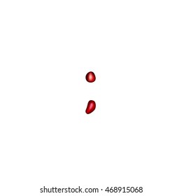 Sign comma point with pomegranate seeds on a white background
