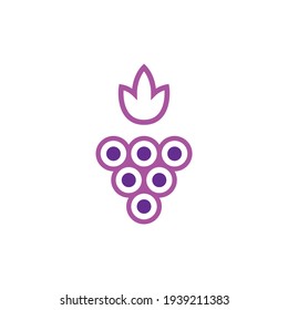 Sign grape circles outline leaf linear icon logo vector illustration.