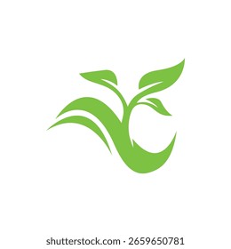 Diseño de ilustración de icono de Vector de logotipo hidropónico verde 