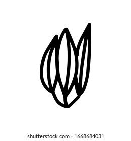 Sign hand drawn herbal Twig leaves. Floral sprig. Spring flower, buttons, blade, bush isolated on white background. Doodle outline vector illustration for wedding design,logo,  greeting card.