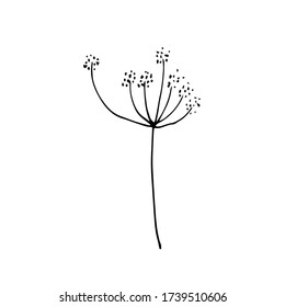 Sign hand drawn summer herb. Flower twig isolated on white background. black silhouette.Contour. Doodle outline vector illustration for wedding design,logo, greeting card.