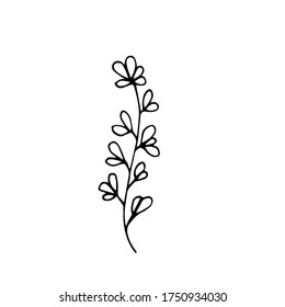 Sign hand drawn summer herb. Flower lavender twig isolated on white background. black silhouette.Contour. Doodle outline vector illustration for wedding design,logo, greeting card.