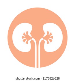 Sign human kidneys. Icon kidneys in the circle isolated on white background. Vector illustration 