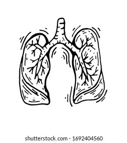 Sign of the human respiratory system, lungs vector isolated illustration on a white background, sign lungs doodle style, medical design of logos. Medical print. Line art. Outline illustration.