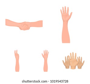 Sign Language cartoon icons in set collection for design.Emotional part of communication vector symbol stock web illustration.